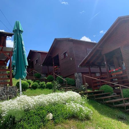 Ferienwohnung Cristal De Sare Praid Exterior foto